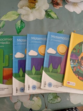 Libros de 3 de primaria