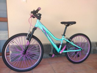 Bicicleta de montaña para Niña 22 Mint/Morado.