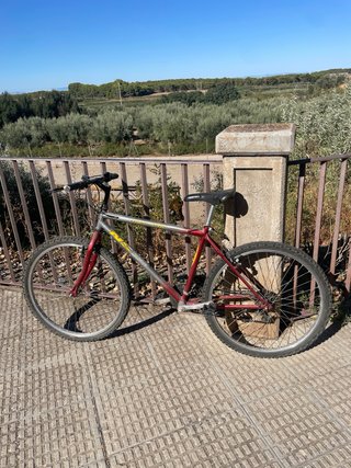 Bicicleta de montaña