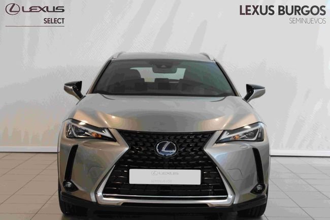 Lexus UX 2021, foto 2