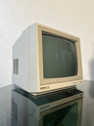 Monitor CRT Philips Computer Monitor 80