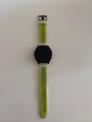 Reloj Garmin Forerunner 165