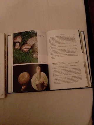 2 Libros de setas