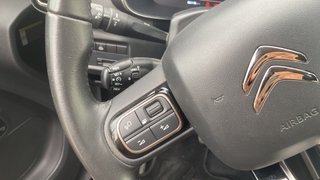 Citroen C5 Aircross BlueHdi 130 S&S Feel 96 kW (131 CV)