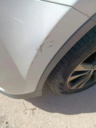 Toyota RAV4 2015