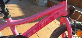 Bici Coluer 16 rosa