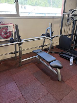 Lote Máquinas Gimnasio Technogym Profesional