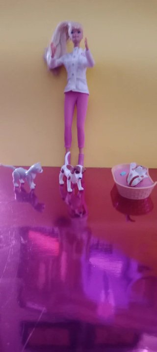 Barbie Dottoressa di Animali Anni '90