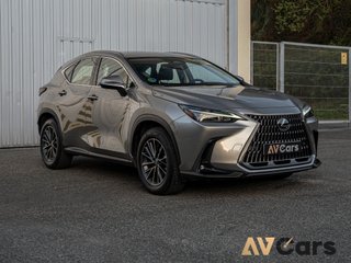 Lexus NX NX350h Premium 2024 Nacional