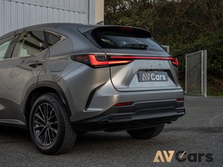 Lexus NX NX350h Premium 2024 Nacional