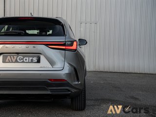 Lexus NX NX350h Premium 2024 Nacional