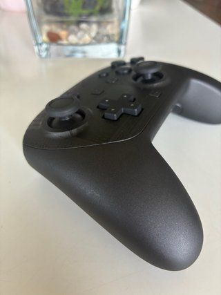Mando Pro Switch 2 Resident Evil