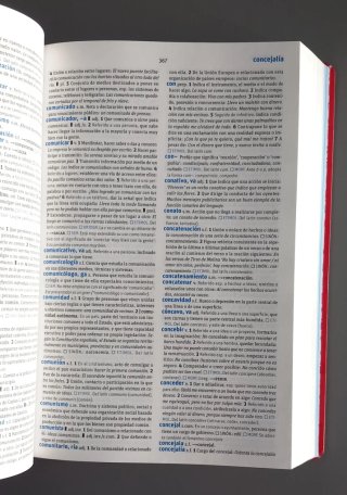 Diccionario Secundaria y Bachillerato lengua es...