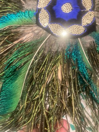 Abanico de Plumas de Pavo Real