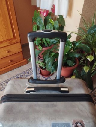 Maleta rígida de viaje gris con estampados