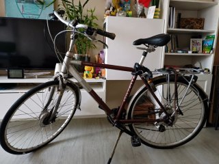 Bicicleta Gazelle Urbana
