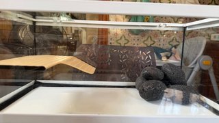 Acuario tortuga con rocas y calentador