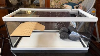 Acuario tortuga con rocas y calentador