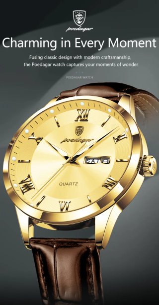 Reloj Poedagar Dorado y Marrón Hombre