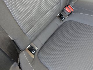 Ford Focus 2.0EcoBlue Titanium 150Cv Automatico