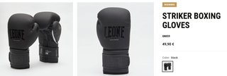 Guantes Boxeo Leone 16 Oz Nuevos