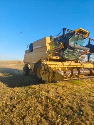 Cosechadora New Holland TX 32