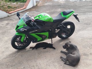 Kawasaki Ninja ZX-10R Sportbike