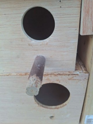 Cajas nido de madera y metal