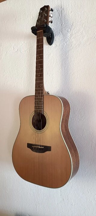 Guitarra Acústica Takamine GD20 NS