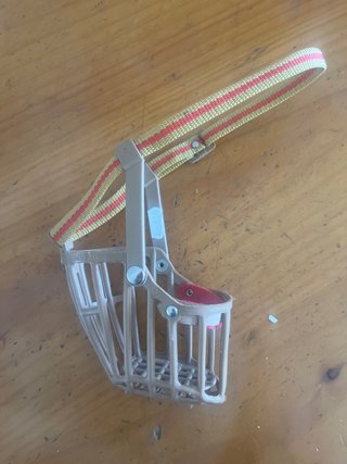 Bozal para perro mediano