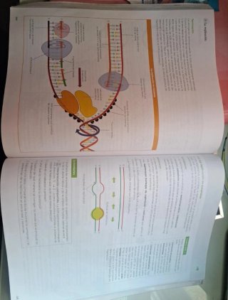 Biología 2 bachillerato, Operación Mundo