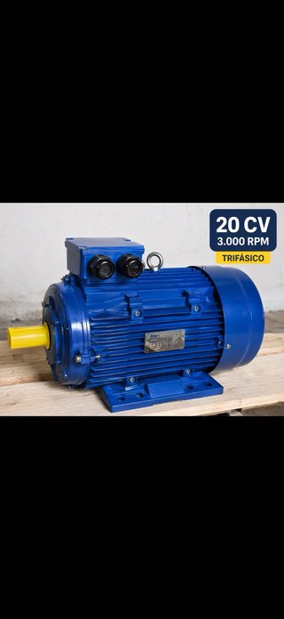 Motor Eléctrico Trifásico 20 CV 3000 RPM