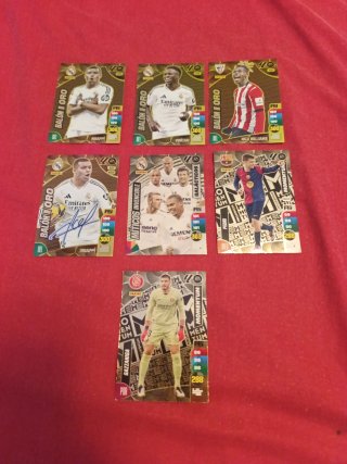 Cromos Panini Liga 2024-25