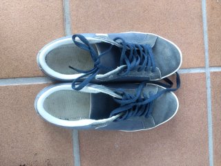 Zapatillas Lacoste Azul/Gris