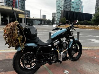 Harley Davidson XL1200 Sportster