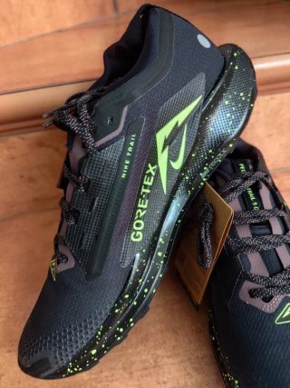 Nike Pegasus Trail Gore-Tex Talla 47