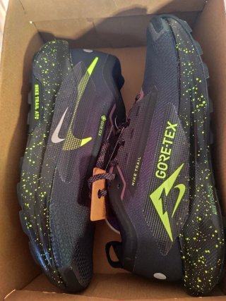 Nike Pegasus Trail Gore-Tex Talla 47