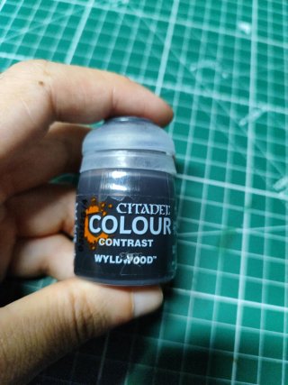 Pintura Citadel Contrast Wyldwood