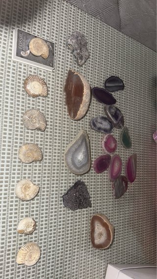 Minerales y fosiles