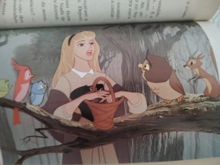 Livro A Bela Adormecida Primeira edição 1975