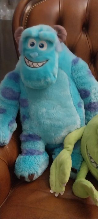 2 Peluche Giganti