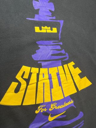 Camiseta LeBron James Nike Manga Larga