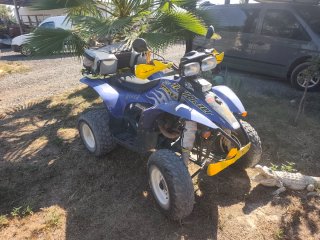 Polaris Trail Blazer 250cc 2 tiempos