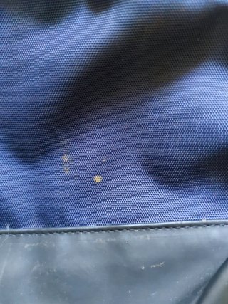 Mochila escolar Pepe Jeans azul