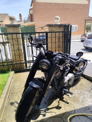 Benda Napoleón BOB500 Negra y Dorada