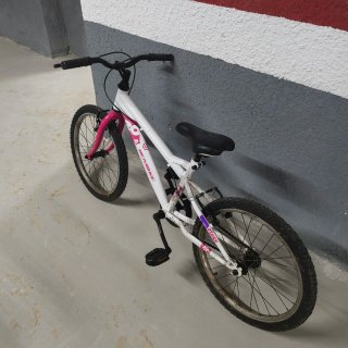Bicicleta infantil 20 DEN-BIKE