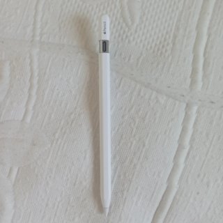 Apple Pencil USB-C (LEER DESCRIPCIÓN)