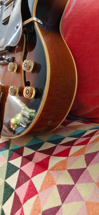Aria Pro II FA-70 Guitarra Semiacústica