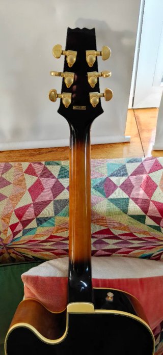 Aria Pro II FA-70 Guitarra Semiacústica