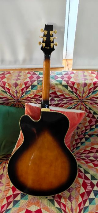 Aria Pro II FA-70 Guitarra Semiacústica